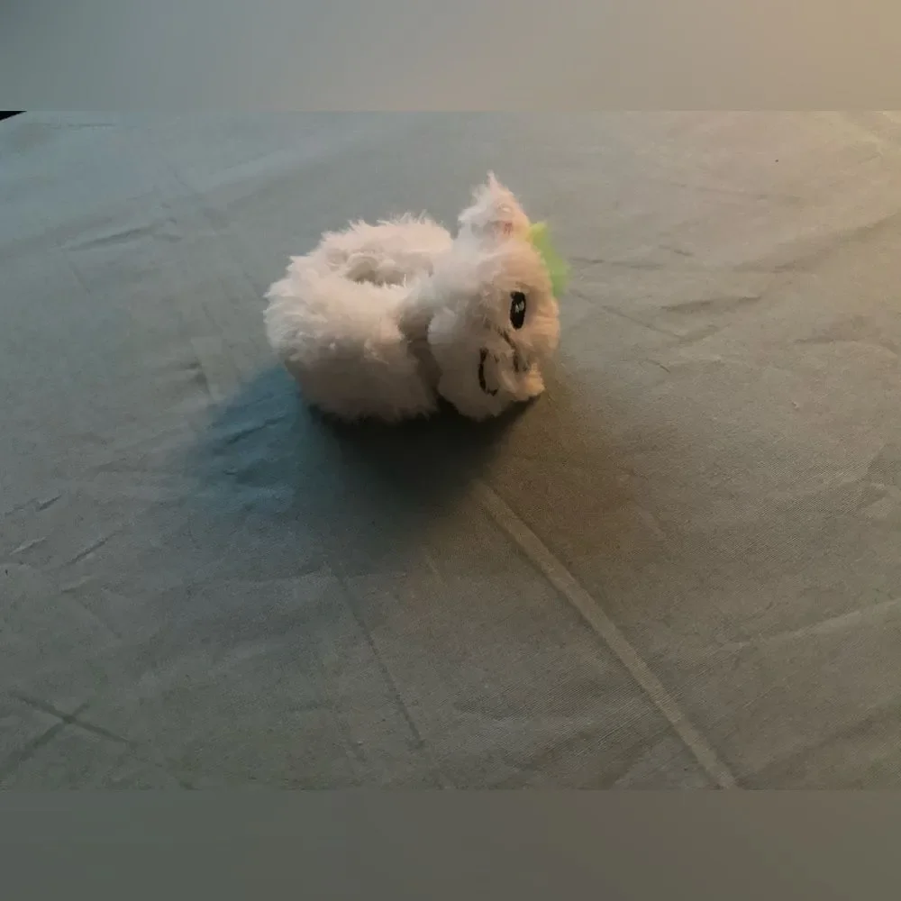 N/A kitty unicorn